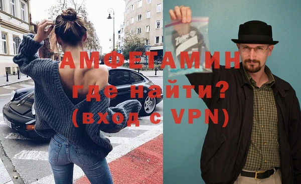 прущие грибы Инта