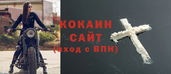 прущие грибы Инта