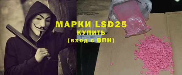 прущие грибы Инта