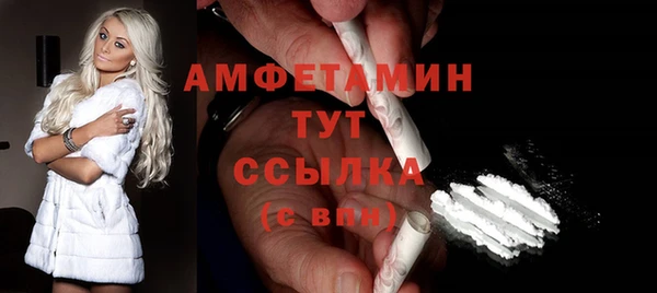 прущие грибы Инта