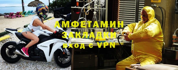 прущие грибы Инта