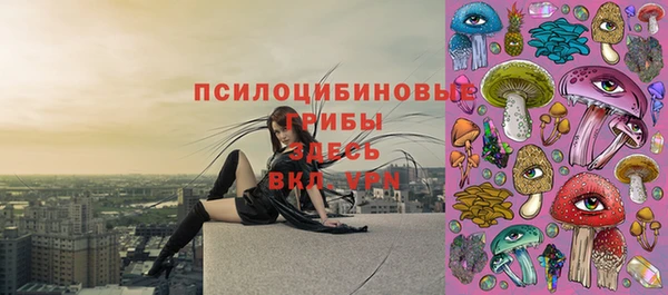 прущие грибы Инта