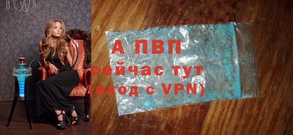 прущие грибы Инта
